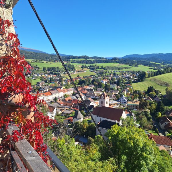 Verleihung der Friedensmedaille und EUROPAFEST auf der Europaburg Forchtenstein in Neumarkt ( ST) am 3.10.2025