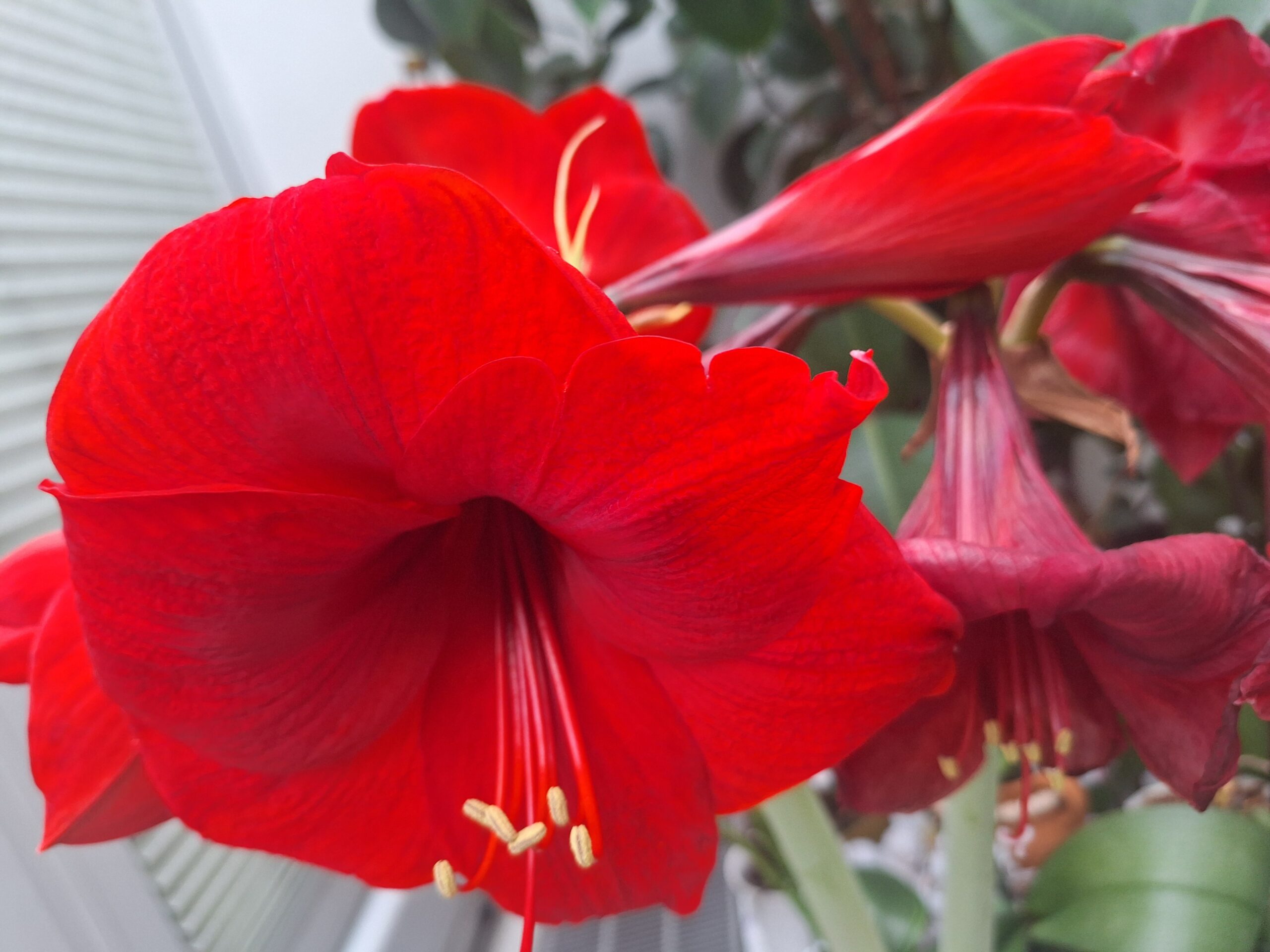 Illustration: Alles Gute für 2026 wünscht der Vorstand der AEDE-Österreich